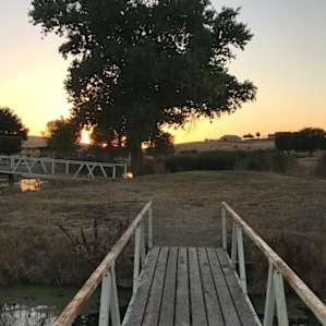 Twisselman’s Glamping by the Pond