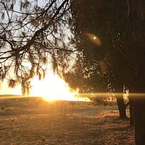 Twisselman’s Glamping by the Pond