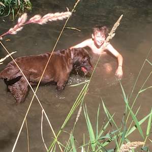 Creekside Tent Sites