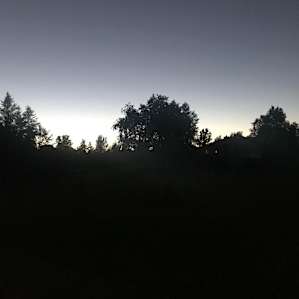 Homey Spot