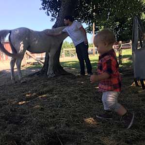 Silk Purse Farm