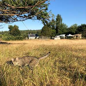 Rural Farmstead Camping