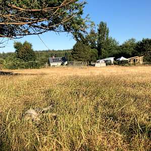 Rural Farmstead Camping