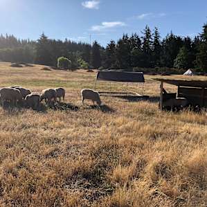 Rural Farmstead Camping