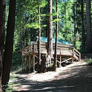 Glamping In The Redwoods