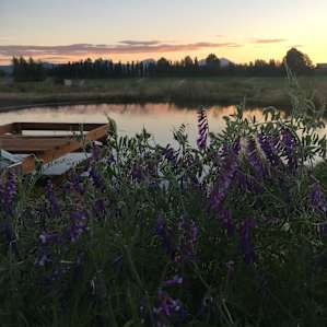 Rustic Oasis Camping