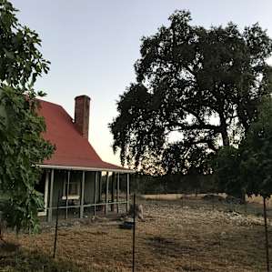 Camp at our farm sanctuary!