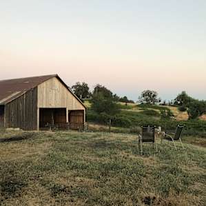 Camp at our farm sanctuary!