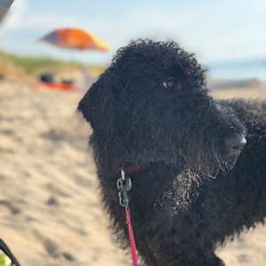 Raina love beach days.
