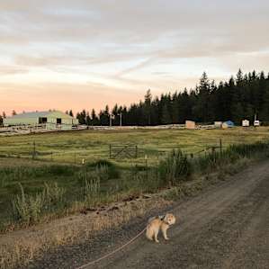 Sunset at the ranch