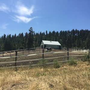 Around the ranch