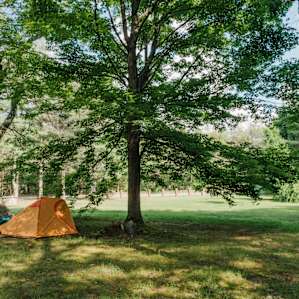 tent forest lodging