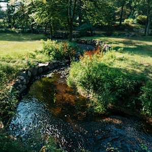 Little creeks dot the area, with many small trails extremely close to the property