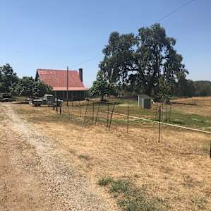Camp at our farm sanctuary!