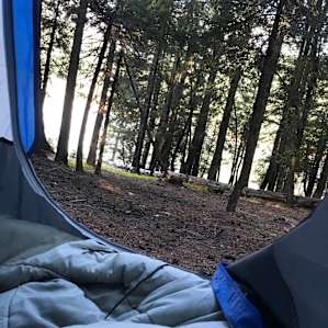 Trinity River Campground