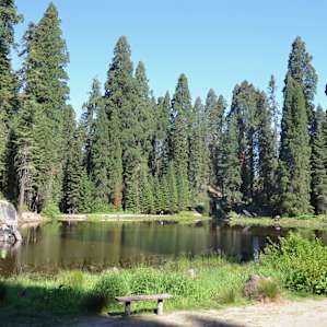 Quaking Aspen Campground