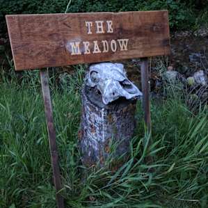 The Meadow
