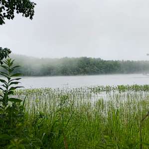 Pond Site