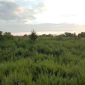 Camping on the Farm