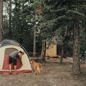 tent forest people