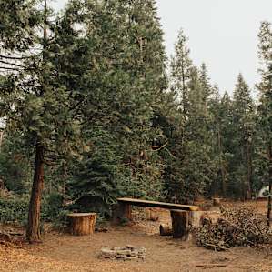 forest