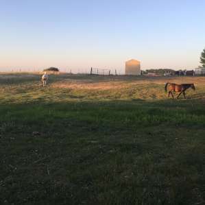 Willow Creek Retreat