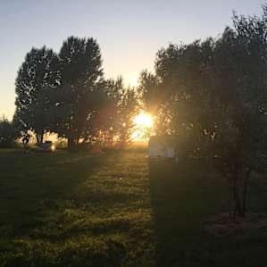 Willow Creek Retreat
