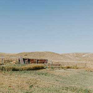 Winging it in wyoming.