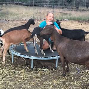 Goat Deluxe