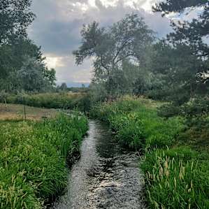 Beautiful stream flowing through the property