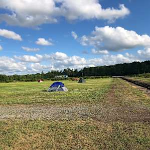 Historic Blueberry Farm