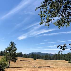 The meadow, viewed from the bathhouse.