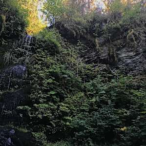 Waterfall and wading area