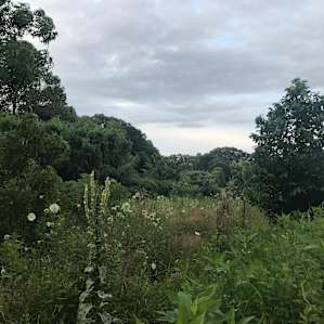 Hay House Farm