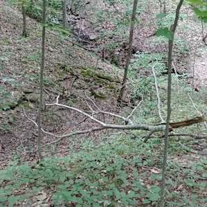 "Mountainside Camp" (Italy,NY)
