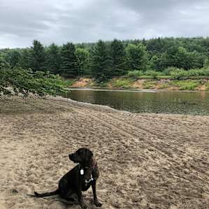 Adirondack Acres Trail & Camps