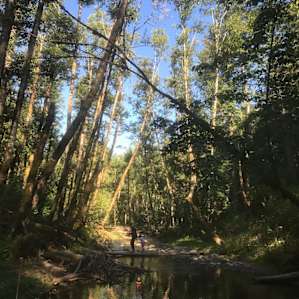 Cedar Grove Beach