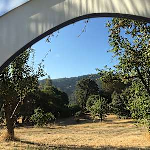 View from the tent