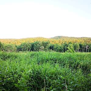 Adirondack Acres Trail & Camps