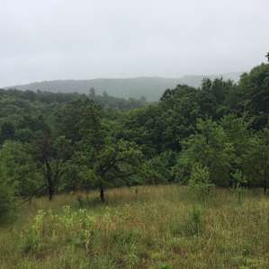 Oak Mountain Hideaway Tent Site #1