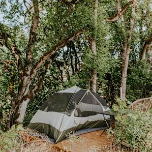 tent forest lodging