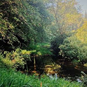 View from the creek-side camping spot