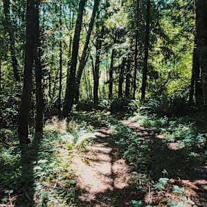 Hike into camp