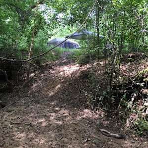 Looking at the site from the creek