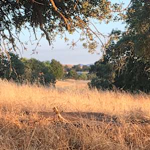 Gorgeous open spaces all around.