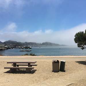 Fresh fish and dog walking at the nearby Morro Bay (Morro Rock Beach is the dog beach).