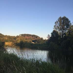 The view up River