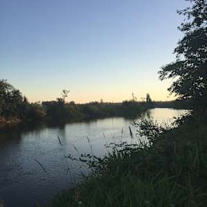 The view down river