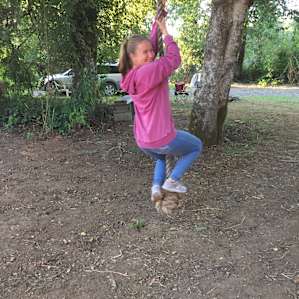 A well loved tree with a rope swing.