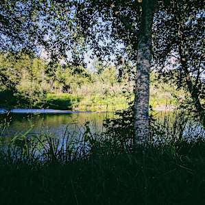 Wynoochee River Cabin